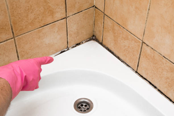 Best Mold Testing  in Benton, TN